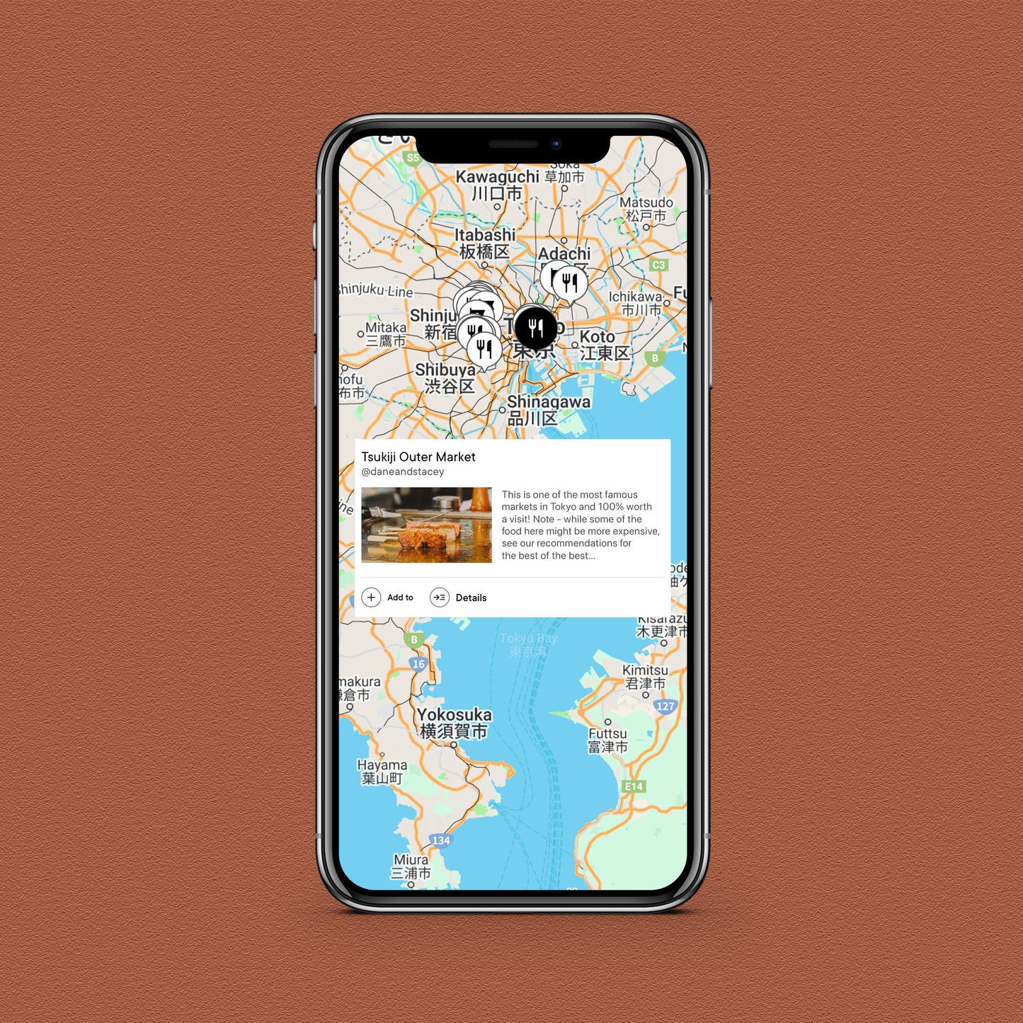 Japan Travel Guide